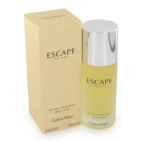 Calvin Klein Escape Masculino Eau de Parfum 100ml