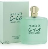 Giorgio Armani Acqua di Gio Feminino EDP 100ml
